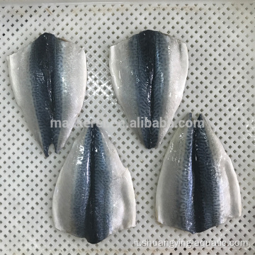 Flap di pesce mackerel cinese IQF Frozen